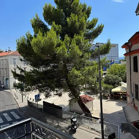 アパート Villa Central ツリクヴェニツァ